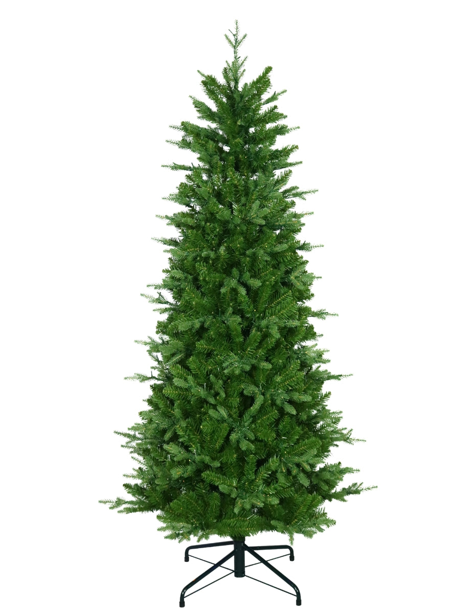 Alberta Slim Spruce 6.5'